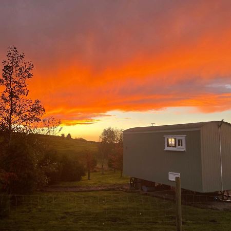 The Buteland Stop Rosie Off Grid Shepherds Hut Bellingham Εξωτερικό φωτογραφία