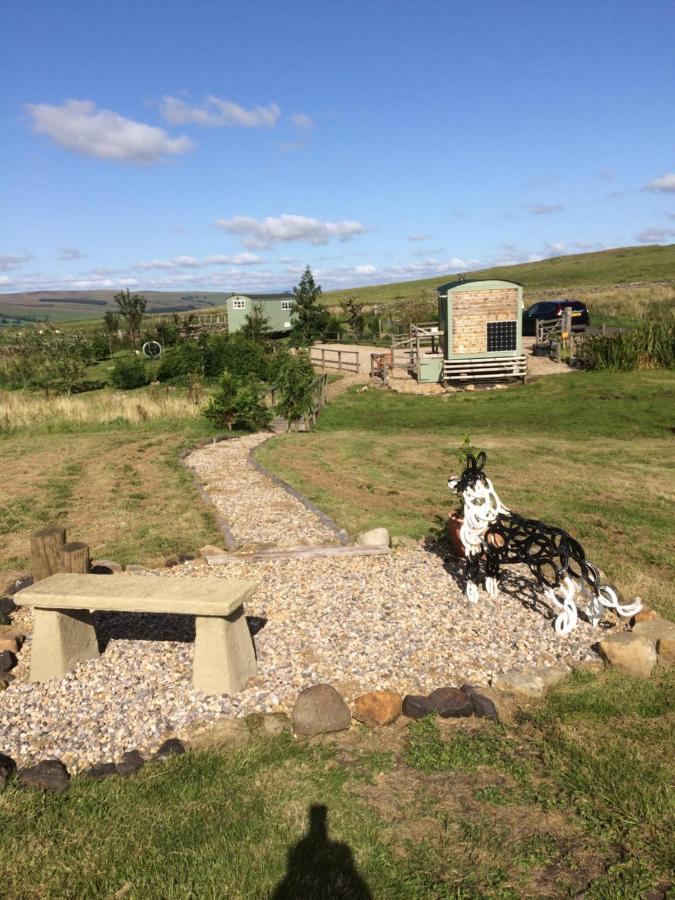 The Buteland Stop Rosie Off Grid Shepherds Hut Bellingham Εξωτερικό φωτογραφία