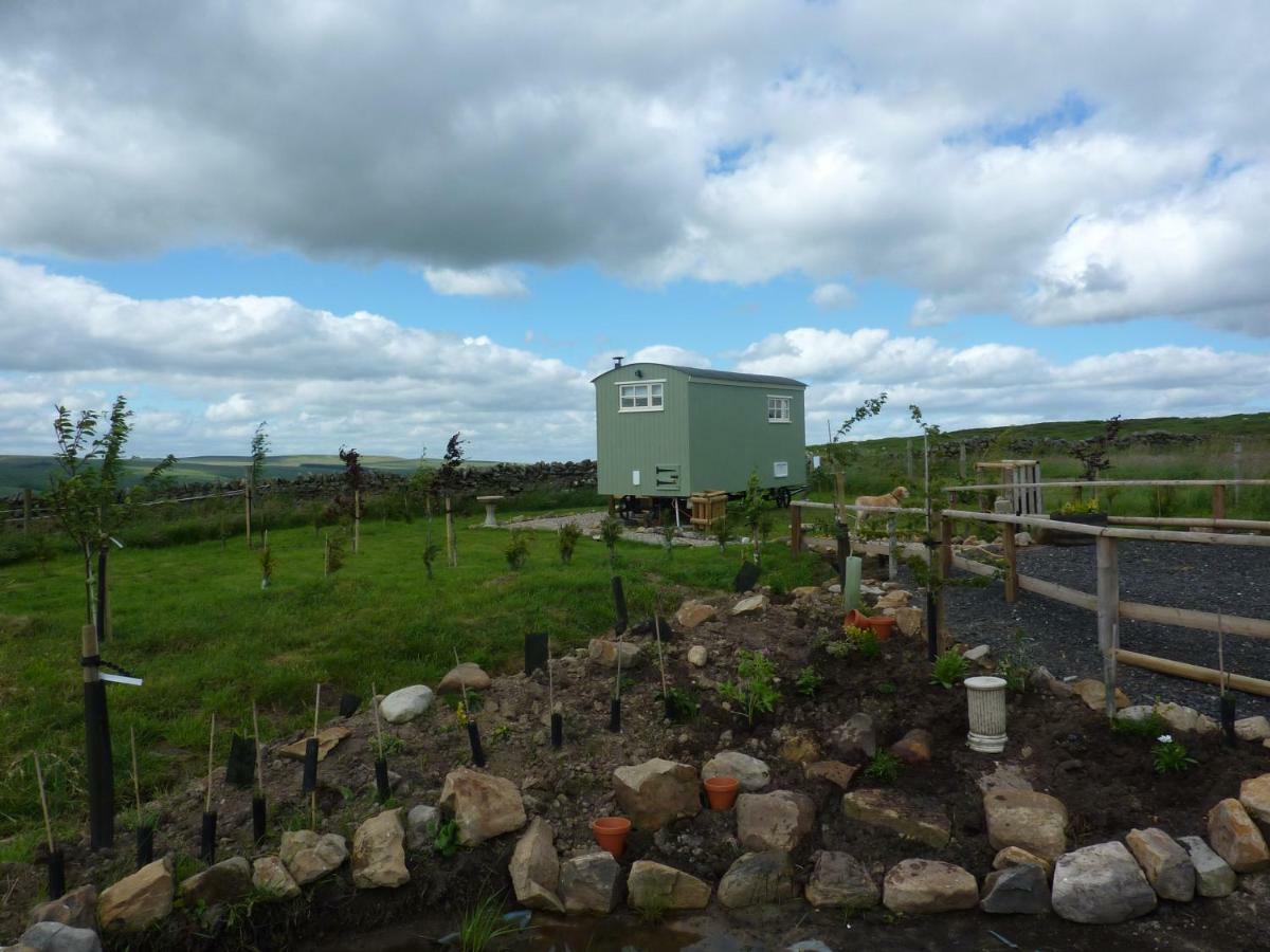 The Buteland Stop Rosie Off Grid Shepherds Hut Bellingham Εξωτερικό φωτογραφία
