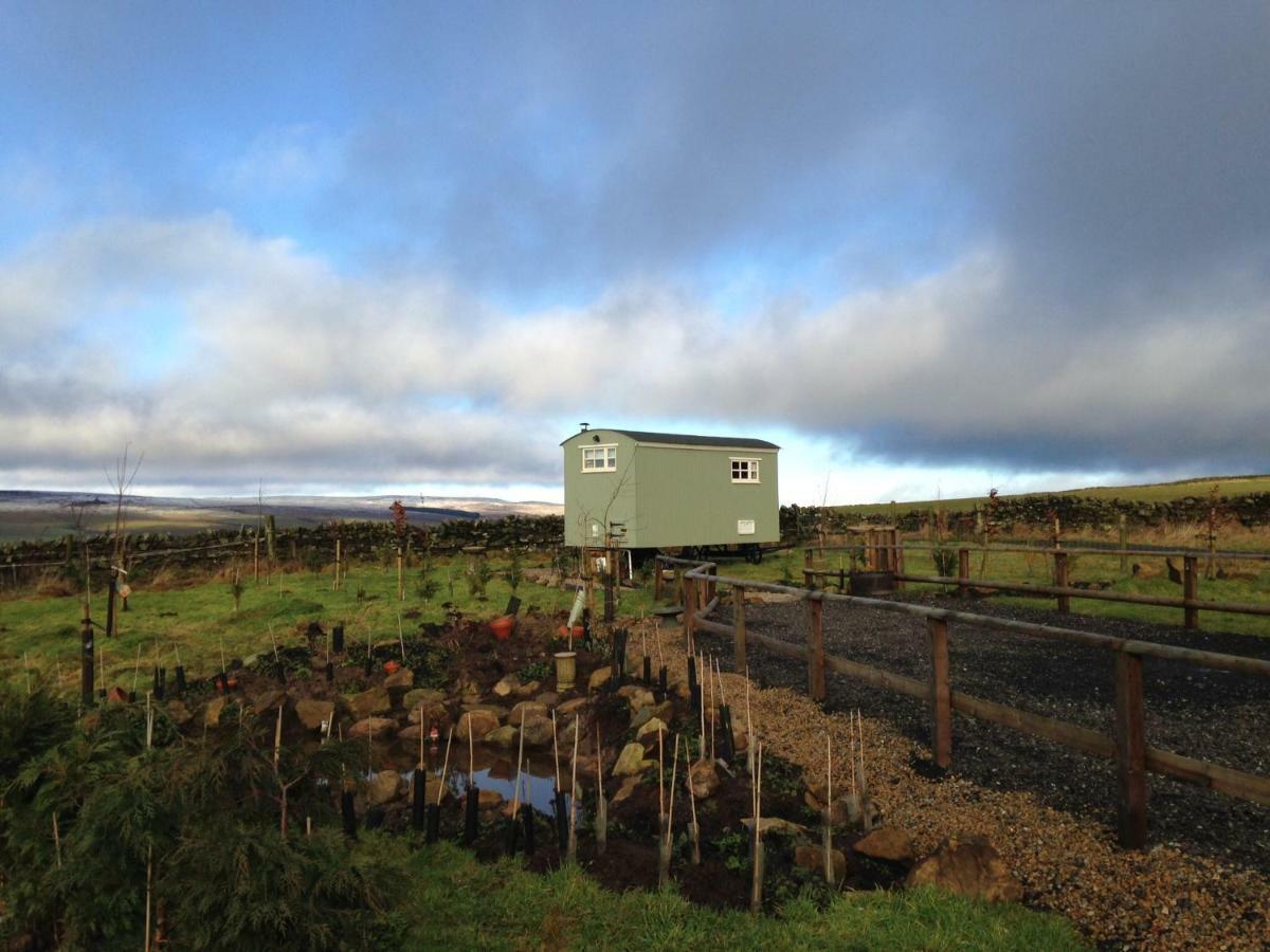 The Buteland Stop Rosie Off Grid Shepherds Hut Bellingham Εξωτερικό φωτογραφία
