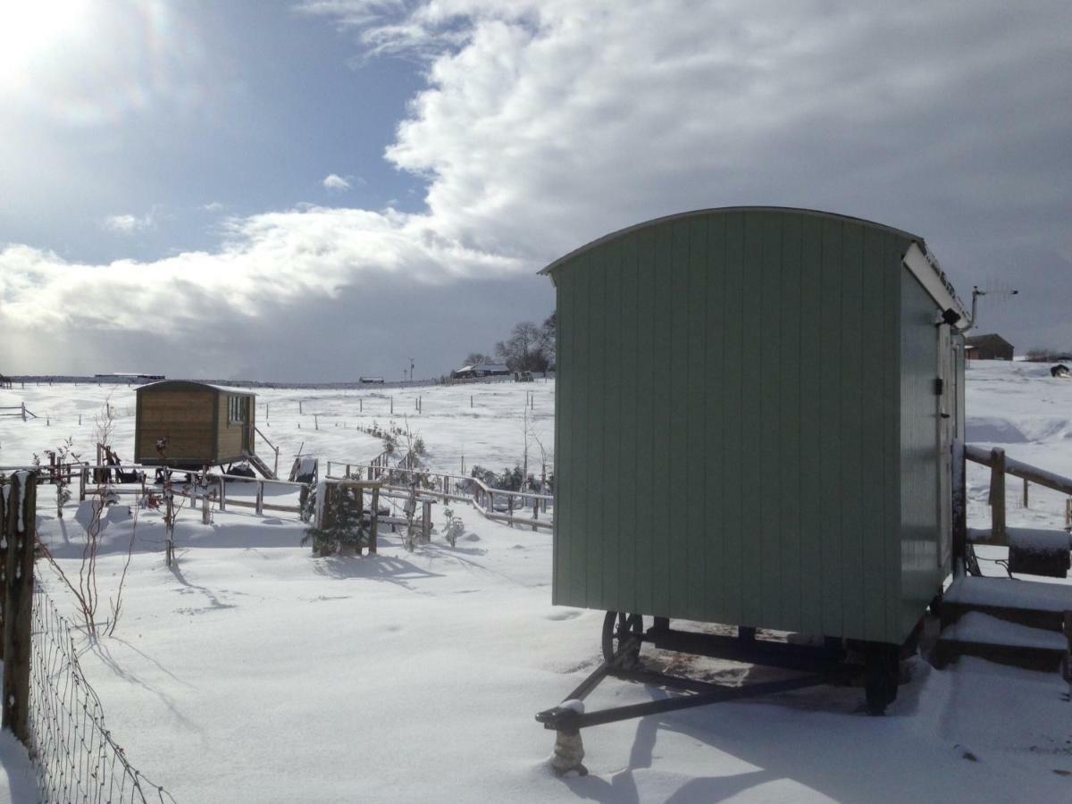The Buteland Stop Rosie Off Grid Shepherds Hut Bellingham Εξωτερικό φωτογραφία