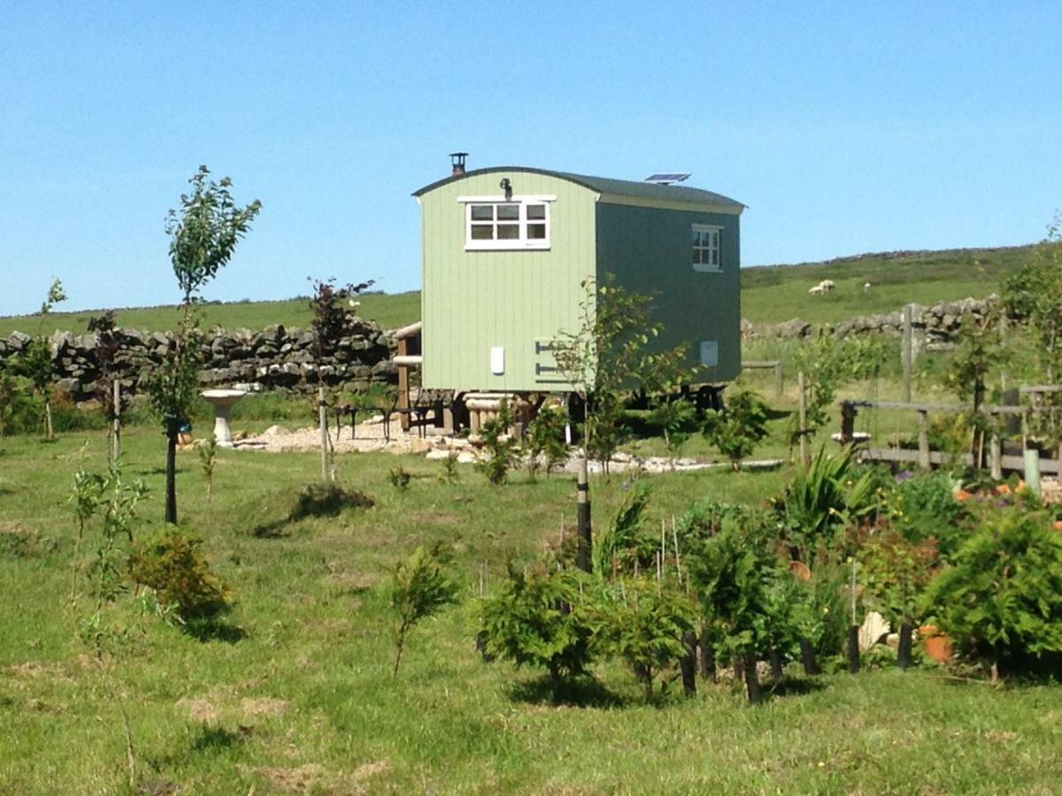 The Buteland Stop Rosie Off Grid Shepherds Hut Bellingham Εξωτερικό φωτογραφία