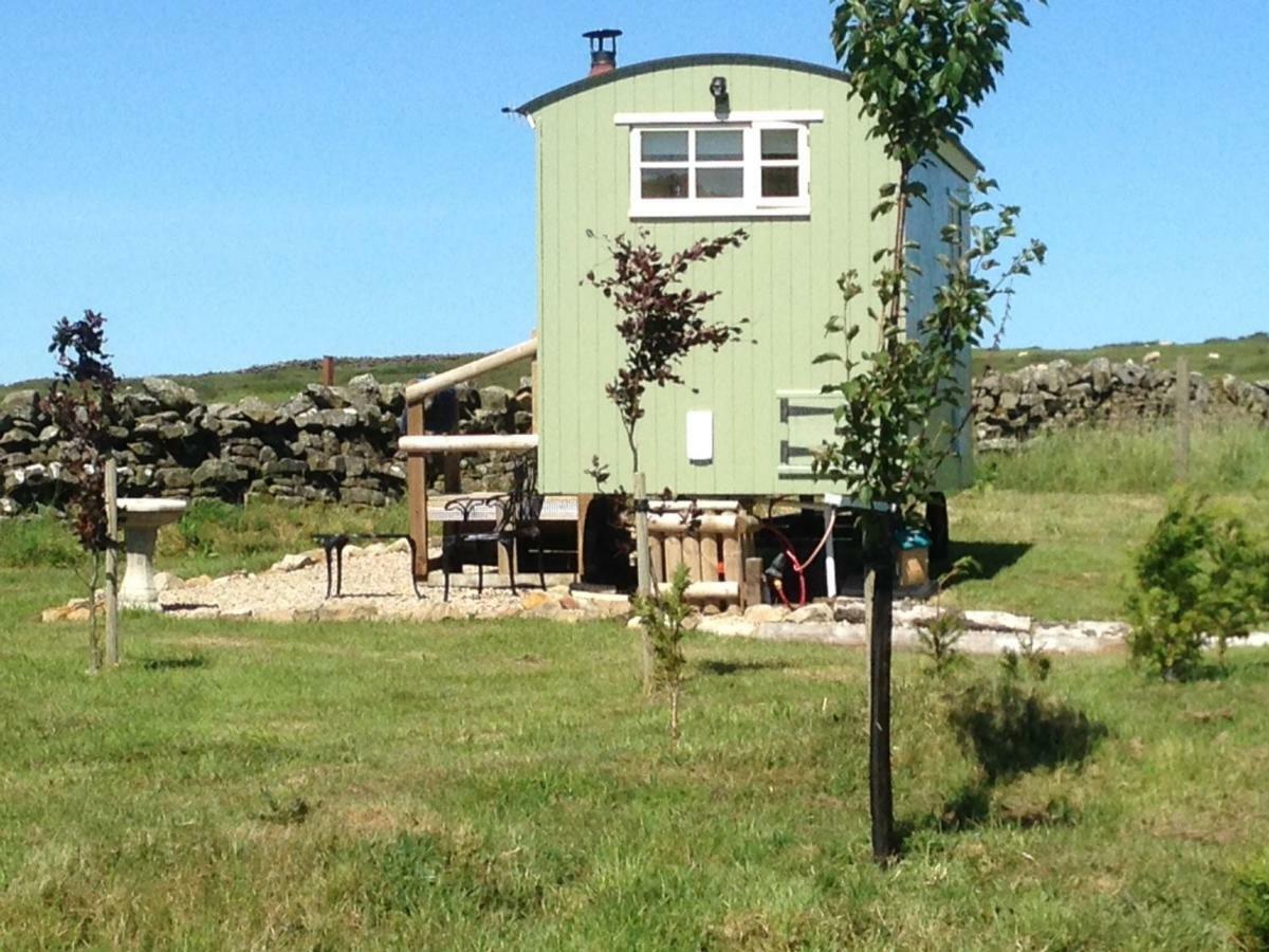 The Buteland Stop Rosie Off Grid Shepherds Hut Bellingham Εξωτερικό φωτογραφία